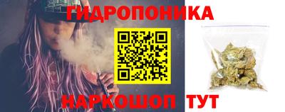 гидра Лесосибирск