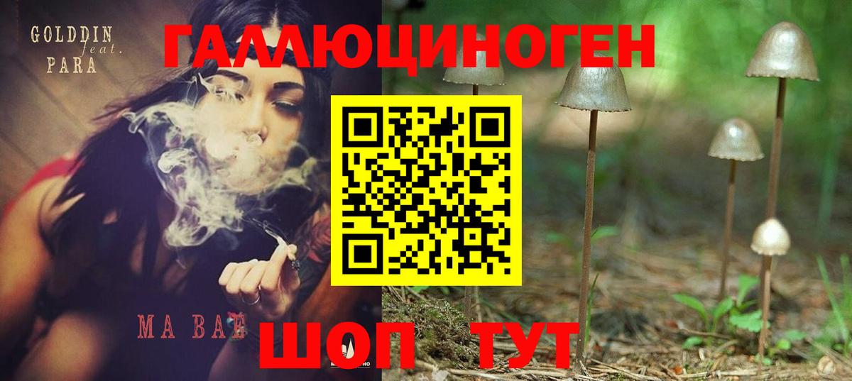 Псилоцибиновые грибы прущие грибы  Вход с VPN  Гулькевичи  Галлюциногенные грибы MAGIC MUSHROOMS 